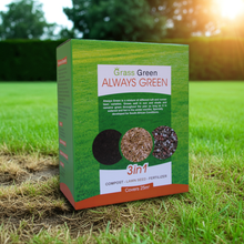 Load image into Gallery viewer, Always Green Lawn Seed