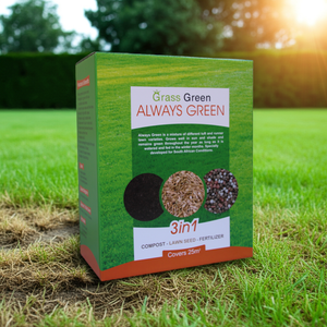 Always Green Lawn Seed